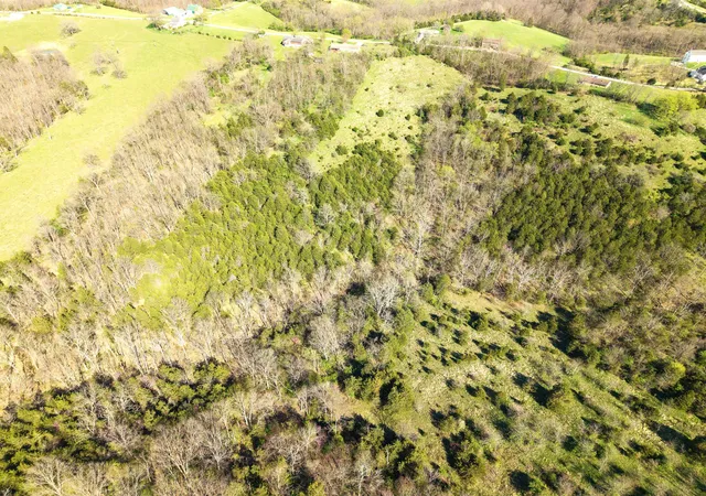 Homes for sale in Demossville, KY | 2728 Acre Hwy 467, Demossville, KY 41033 | MLS# 643636