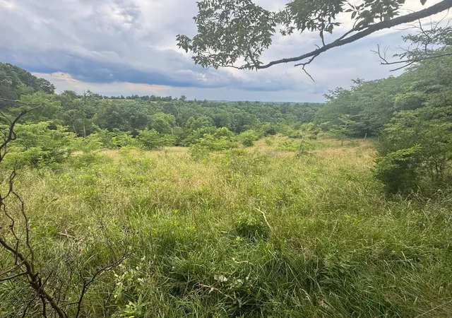 Homes for sale in Demossville, KY | 2728 Acre Hwy 467, Demossville, KY 41033 | MLS# 643636
