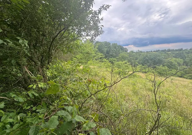 Homes for sale in Demossville, KY | 2728 Acre Hwy 467, Demossville, KY 41033 | MLS# 643636