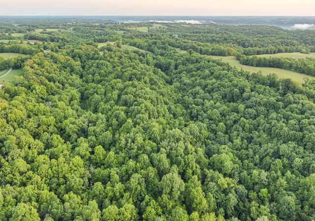 Homes for sale in Dover, KY | 480 Ac Dietrich Rd, Dover, KY 41034 | MLS# 643745