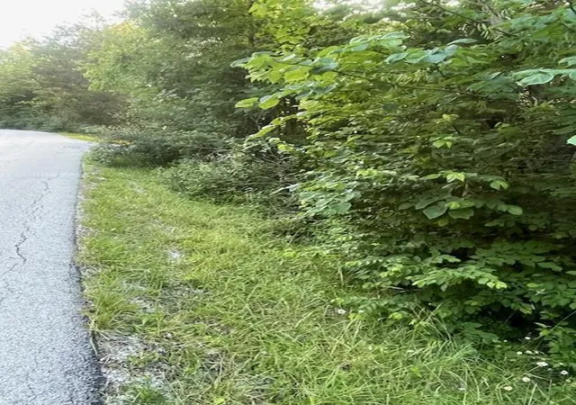 Photo 3 of Land for sale at 34 Acre Buckeye Hills Rd, Falmouth, KY 41040 | MLS# 643772 | Listing updated on 2026-07-30