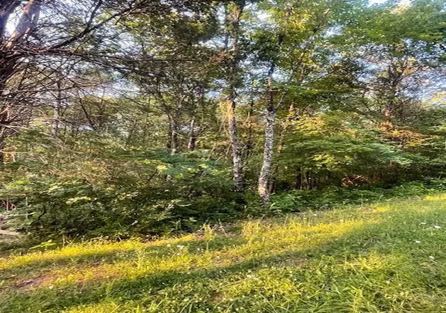 Homes for sale in Falmouth, KY | 34 Acre Buckeye Hills Rd, Falmouth, KY 41040 | MLS# 643772
