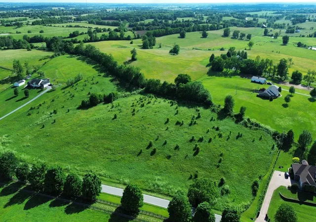 Homes for sale in Carlisle, KY | 9a Walnut Grove Rd, Carlisle, KY 40311 | MLS# 643836