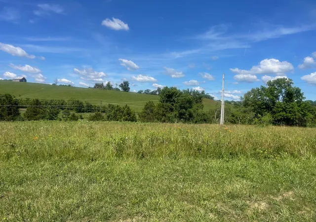 Homes for sale in Falmouth, KY | 170 Acres Lynn Ln, Falmouth, KY 41040 | MLS# 643858
