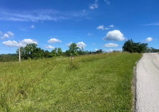 Homes for sale in Falmouth, KY | 170 Acres Lynn Ln, Falmouth, KY 41040 | MLS# 643858