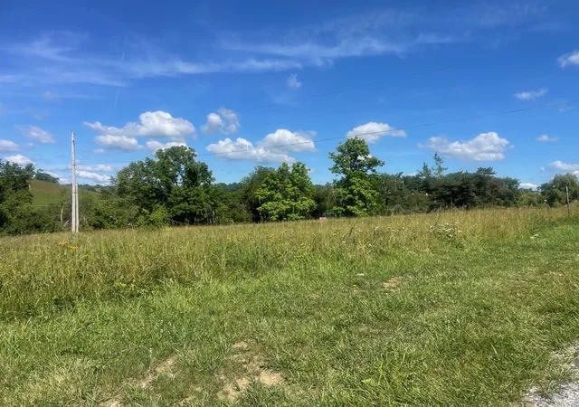 Homes for sale in Falmouth, KY | 170 Acres Lynn Ln, Falmouth, KY 41040 | MLS# 643858