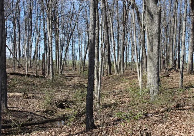 Photo 4 of Land for sale at 1694 Poindexter Rd, Cynthiana, KY 41031 | MLS# 644164 | Listing updated on 2026-06-30