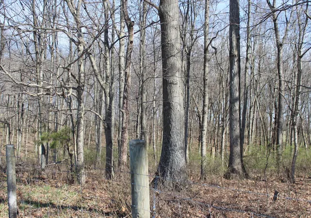 Photo 3 of Land for sale at 1474 Poindexter Rd, Cynthiana, KY 41031 | MLS# 644161 | Listing updated on 2026-06-30