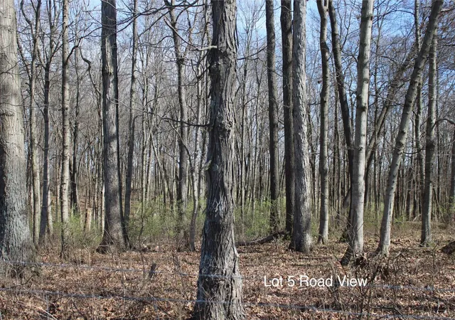 Photo 4 of Land for sale at 1474 Poindexter Rd, Cynthiana, KY 41031 | MLS# 644161 | Listing updated on 2026-06-30
