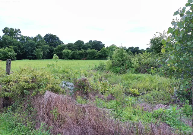 Homes for sale in Owenton, KY | 2650 Old Landing Rd, Owenton, KY 40359 | MLS# 644189