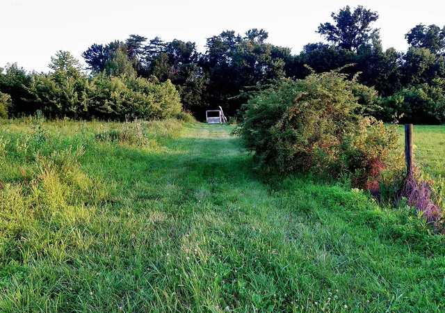 Photo 3 of Land for sale at 2650 Old Landing Rd, Owenton, KY 40359 | MLS# 644189 | Listing updated on 2026-08-31