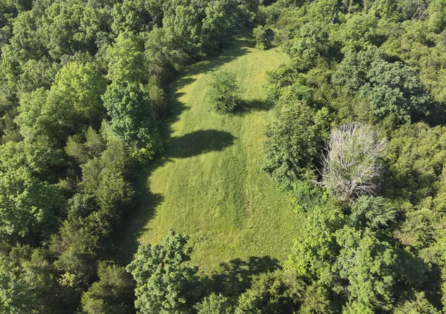 Homes for sale in Mt. Olivet, KY | 1815 Cedar Creek Rd, Mt. Olivet, KY 41064 | MLS# 644200