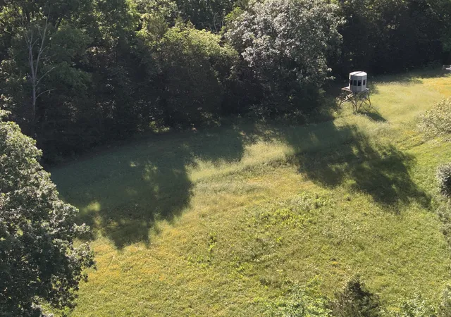 Homes for sale in Mt. Olivet, KY | 1815 Cedar Creek Rd, Mt. Olivet, KY 41064 | MLS# 644200