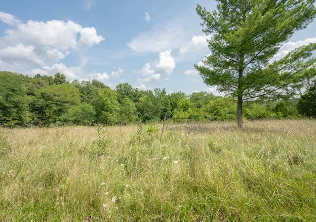 Photo 3 of Single family home for sale at 16059 Pfanstiel Rd, Demossville, KY 41033 | MLS# 644346 | Listing updated on 2026-08-31