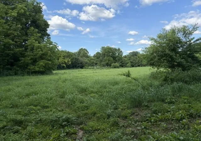 Homes for sale in Dover, KY | 113 Lee's Creek Rd, Dover, KY 41034 | MLS# 644310