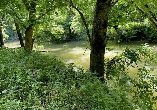 Homes for sale in Dover, KY | 113 Lee's Creek Rd, Dover, KY 41034 | MLS# 644310
