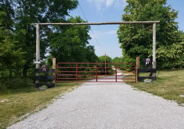 Homes for sale in Mt. Olivet, KY | 139 Old Pinhook Rd, Mt. Olivet, KY 41064 | MLS# 644323