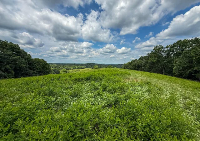 Homes for sale in Mount Olivet, KY | 9102 Kentontown Rd, Mount Olivet, KY 41064 | MLS# 644404