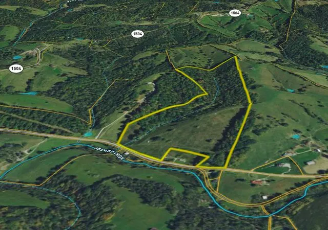 Homes for sale in Mount Olivet, KY | 9102 Kentontown Rd, Mount Olivet, KY 41064 | MLS# 644404