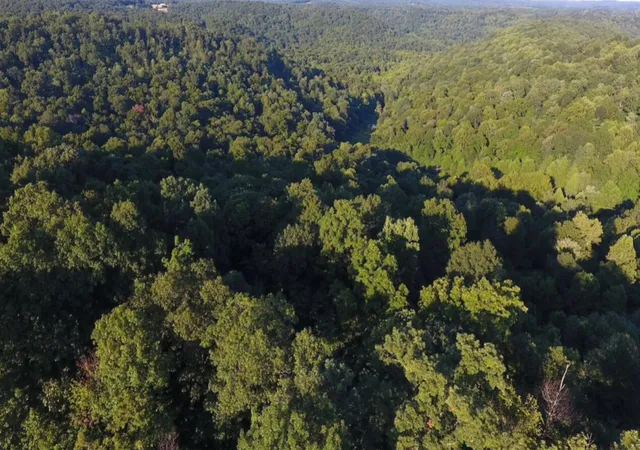 Photo 1 of Land for sale at 0 Spring Rd, Wallingford, KY 41093 | MLS# 644792 | Listing updated on 2026-08-18