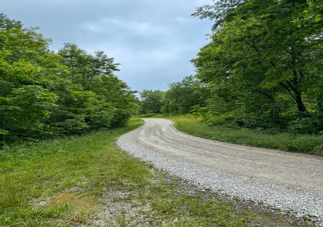 Photo 1 of Land for sale at 0 Thorp Ridge Rd, Wallingford, KY 41093 | MLS# 644663 | Listing updated on 2026-07-15