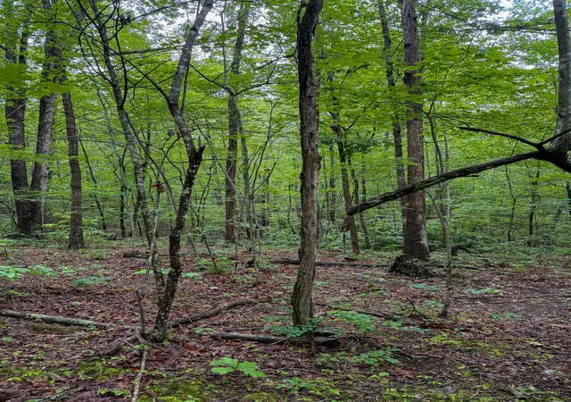 Photo 2 of Land for sale at 0 Thorp Ridge Rd, Wallingford, KY 41093 | MLS# 644663 | Listing updated on 2026-07-15