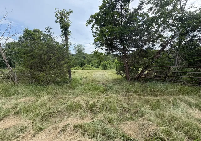 Homes for sale in Corinth, KY | 00 Swope Natlee Rd, Corinth, KY 41010 | MLS# 644589