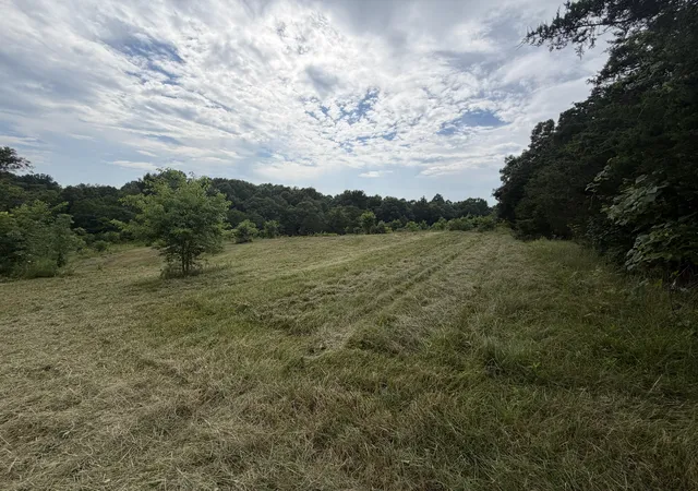 Homes for sale in Corinth, KY | 00 Swope Natlee Rd, Corinth, KY 41010 | MLS# 644589