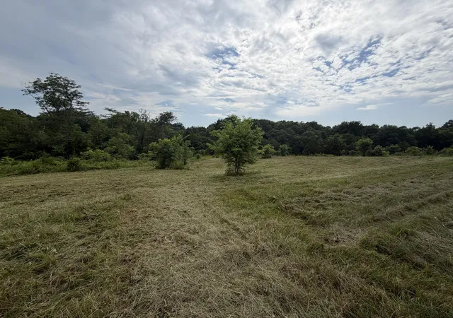 Homes for sale in Corinth, KY | 00 Swope Natlee Rd, Corinth, KY 41010 | MLS# 644589