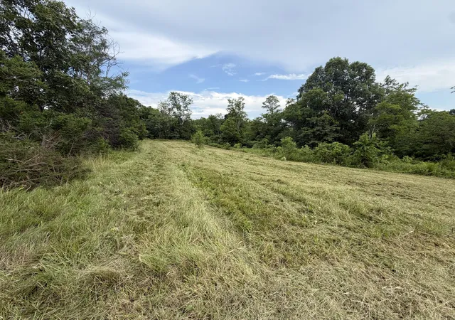 Homes for sale in Corinth, KY | 00 Swope Natlee Rd, Corinth, KY 41010 | MLS# 644589