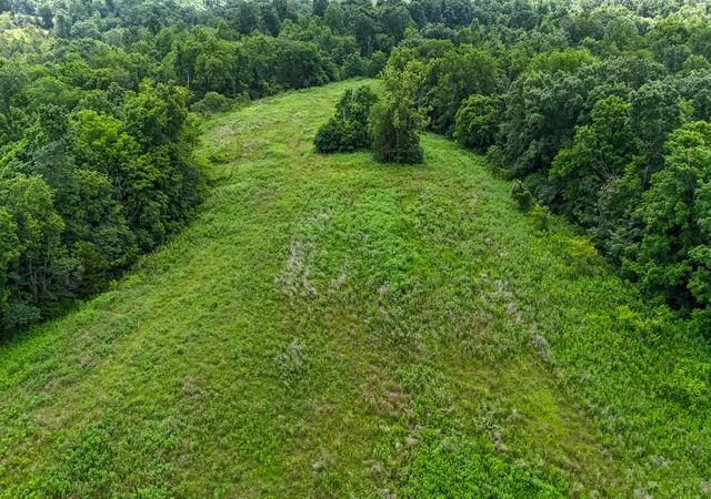 Photo 3 of Land for sale at 0 Little Cabin, Vanceburg, KY 41179 | MLS# 644657 | Listing updated on 2026-07-15