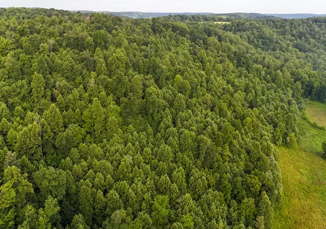 Photo 3 of Land for sale at 00 Thorp Ridge, Vanceburg, KY 41179 | MLS# 644791 | Listing updated on 2026-07-17
