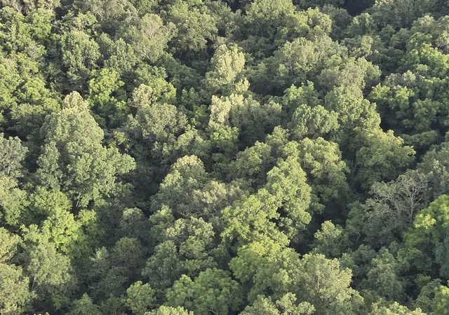 Photo 1 of Land for sale at 607 Galbraith Rd, Brooksville, KY 41004 | MLS# 644817 | Listing updated on 2026-07-18