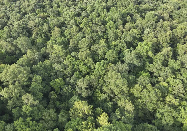 Photo 3 of Land for sale at 607 Galbraith Rd, Brooksville, KY 41004 | MLS# 644817 | Listing updated on 2026-07-18