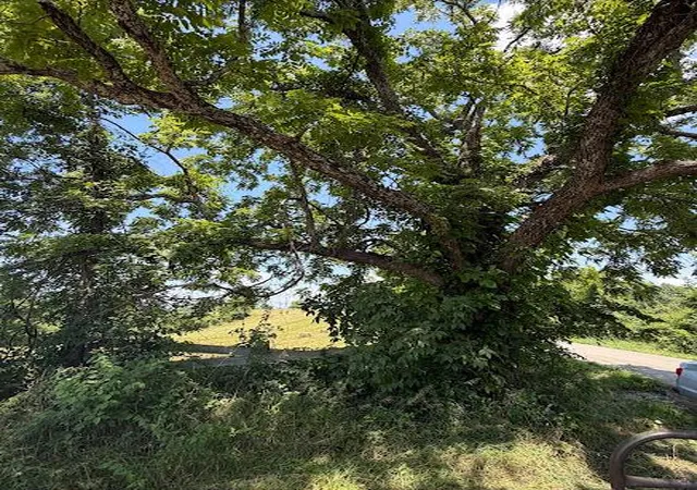 Photo 2 of Sale Pending at 0 Vallandingham Rd #0, Dry Ridge, KY 41035 | MLS# 644823 | Listing updated on 2026-07-20