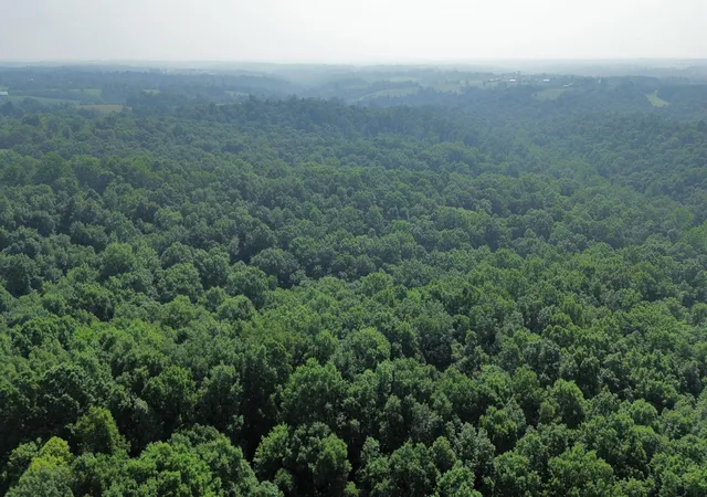 Photo 23 of Land for sale at 277 Needham Ln, Dry Ridge, KY 41035 | MLS# 644876 | Listing updated on 2026-07-21