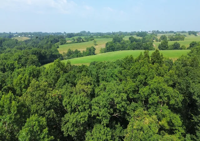 Photo 2 of Land for sale at 277 Needham Ln, Dry Ridge, KY 41035 | MLS# 644876 | Listing updated on 2026-07-21