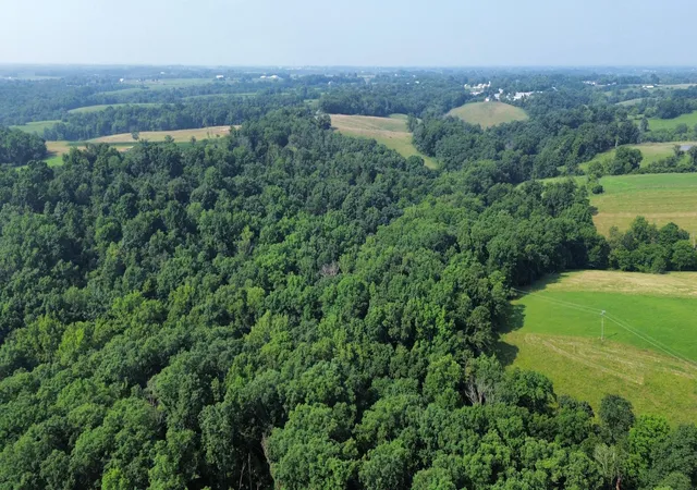 Photo 3 of Land for sale at 277 Needham Ln, Dry Ridge, KY 41035 | MLS# 644876 | Listing updated on 2026-07-21