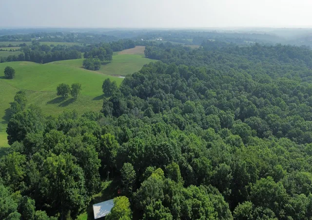 Photo 4 of Land for sale at 277 Needham Ln, Dry Ridge, KY 41035 | MLS# 644876 | Listing updated on 2026-07-21