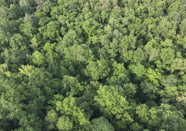 Photo 4 of Land for sale at 697 Galbraith Rd, Brooksville, KY 41004 | MLS# 645003 | Listing updated on 2026-07-24