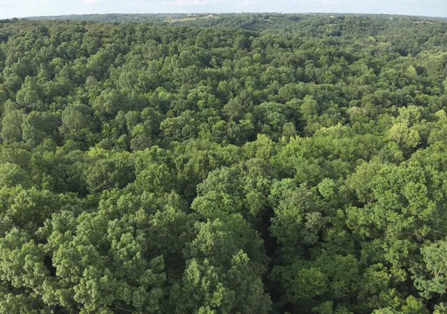 Photo 3 of Land for sale at 1121 Galbraith Rd, Brooksville, KY 41004 | MLS# 645004 | Listing updated on 2026-07-24