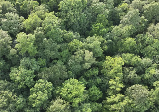 Photo 4 of Land for sale at 1121 Galbraith Rd, Brooksville, KY 41004 | MLS# 645004 | Listing updated on 2026-07-24