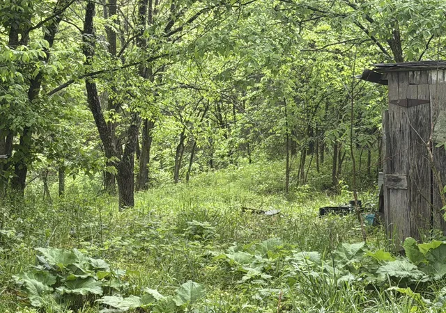 Photo 1 of Land for sale at 2728 Pea Ridge Rd, Germantown, KY 41044 | MLS# 645129 | Listing updated on 2026-07-29
