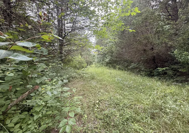 Photo 2 of Land for sale at 815 Waterworks Rd, Williamstown, KY 41097 | MLS# 645909 | Listing updated on 2026-08-21