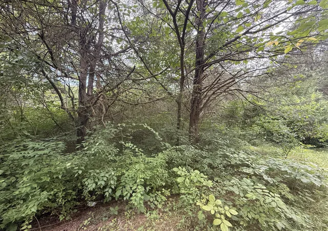 Photo 2 of Land for sale at 815 Waterworks Rd, Williamstown, KY 41097 | MLS# 645909 | Listing updated on 2026-08-21