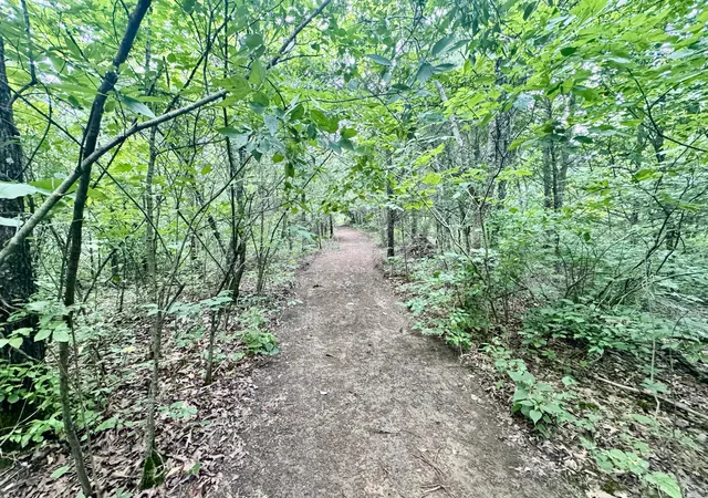 Photo 2 of Land for sale at 79 Acres Lawrenceville Rd, Dry Ridge, KY 41035 | MLS# 645279 | Listing updated on 2026-09-12