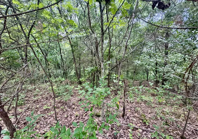 Photo 3 of Land for sale at 79 Acres Lawrenceville Rd #6, Williamstown, KY 41097 | MLS# 645279 | Listing updated on 2026-10-24