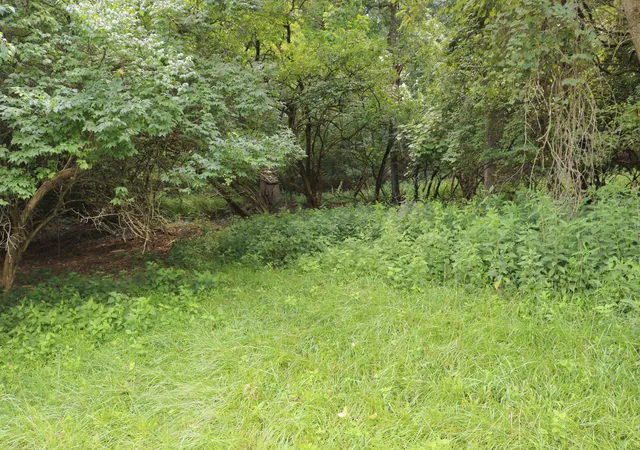2nd image of 225 Ohio Ave, Newport, KY 41071 | MLS# 645309