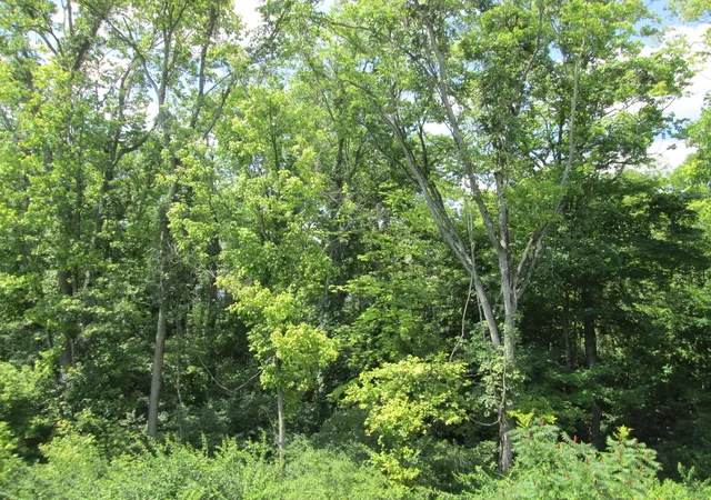 25th image of 2644 Timberside Dr, Hebron, KY 41048 | MLS# 645356