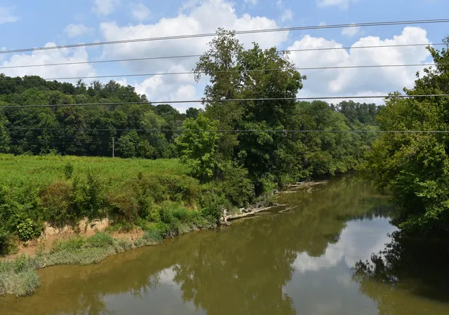 Photo 2 of Land for sale at 0 Kentucky 39, Somerset, KY 42503 | MLS# 645433 | Listing updated on 2026-08-06